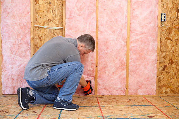 Best Eco-Friendly Insulation in Dunstan, ME