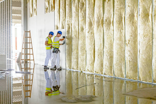 Professional Insulation Contractor in Dunstan, ME